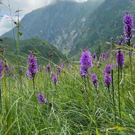 Mountain Valsesia Stella * Varallo